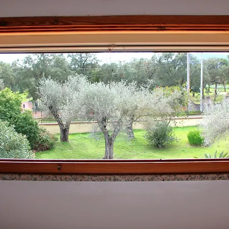 招待所 Il Nido Del Falco 普拉